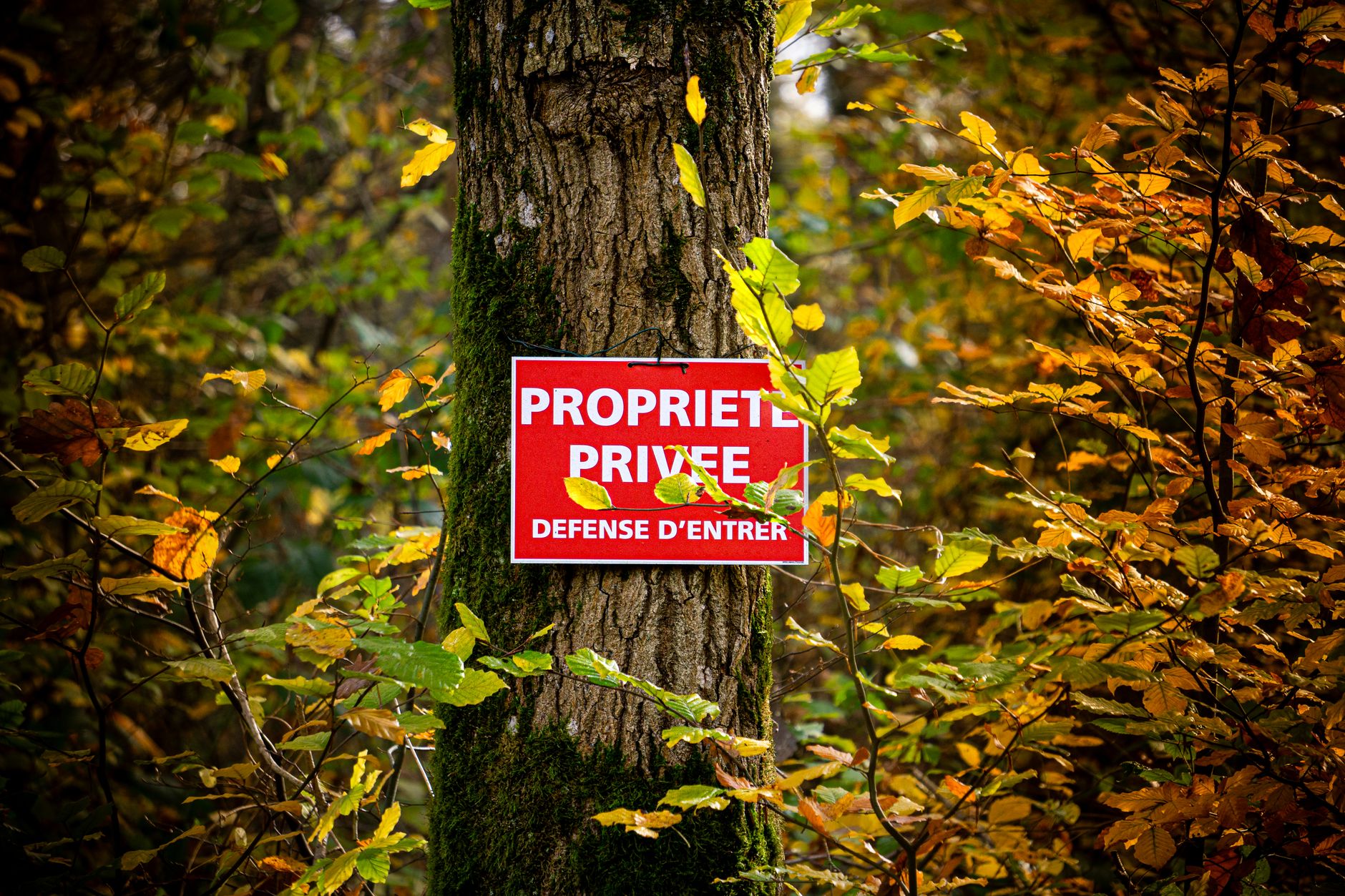 Détective privé à Saint-Denis